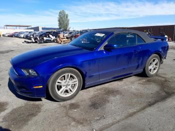  Salvage Ford Mustang