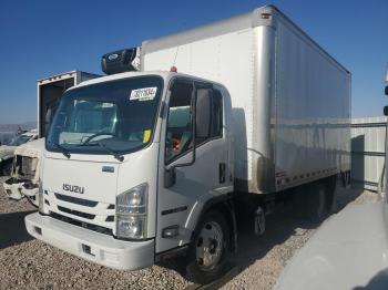  Salvage Isuzu Nqr