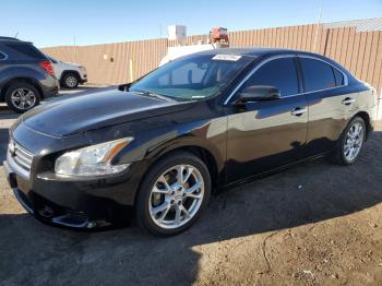  Salvage Nissan Maxima