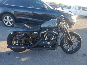  Salvage Harley-Davidson Xl883 N