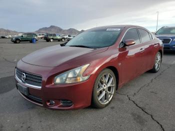  Salvage Nissan Maxima