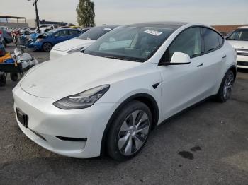  Salvage Tesla Model Y