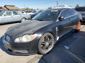  Salvage Jaguar XF