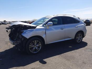  Salvage Lexus RX