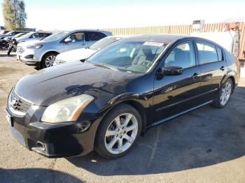  Salvage Nissan Maxima