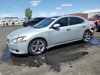  Salvage Nissan Maxima