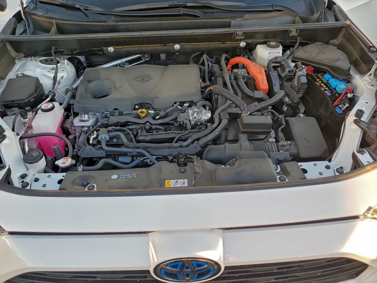 Toyota RAV4 Xle Image 8