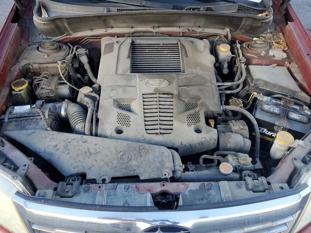 Subaru Forester 2.5xt Image 8