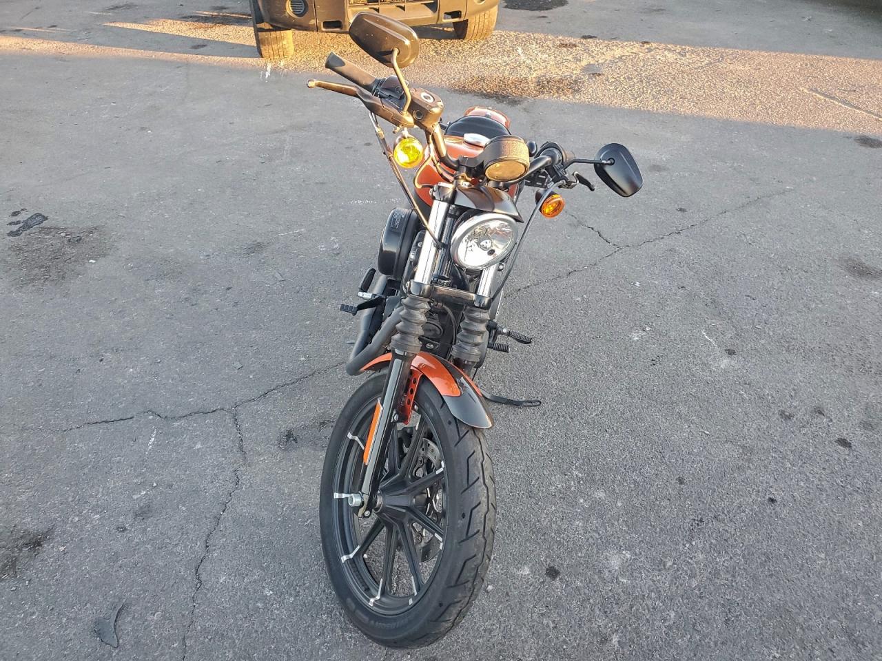 Harley-Davidson Xl883 N N Image 3