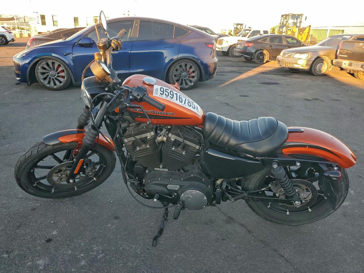 Harley-Davidson Xl883 N N Image 7