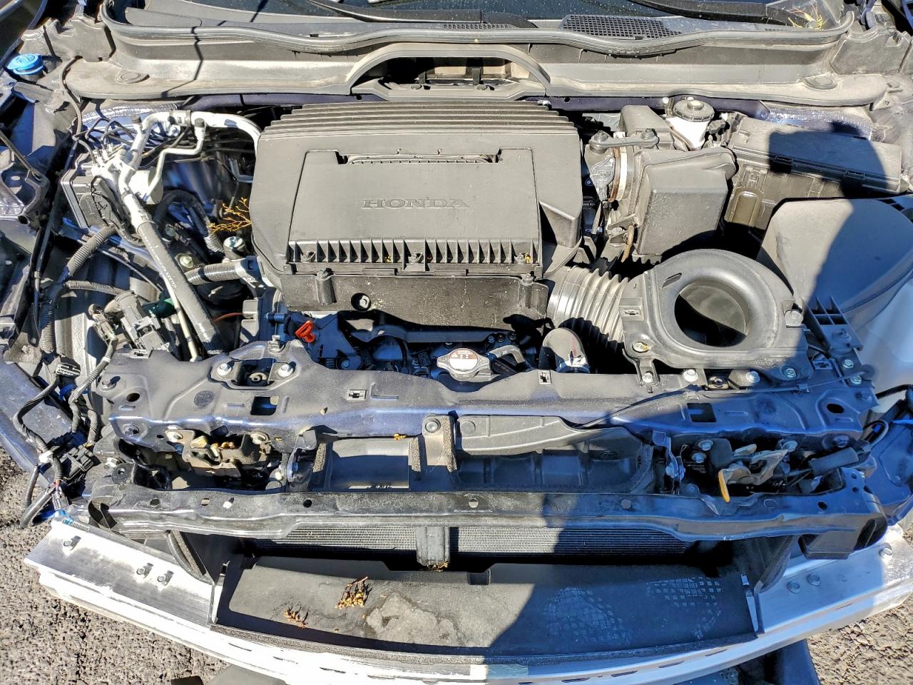 Honda Pilot Elite Image 12