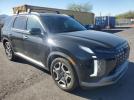 Hyundai PALISADE Sel Premium Image 3