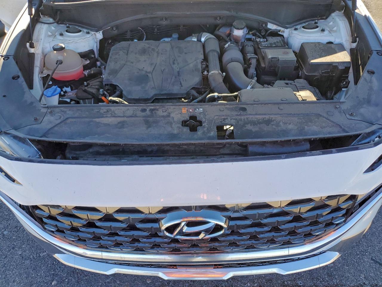 Hyundai SANTA FE Calligraphy Image 10