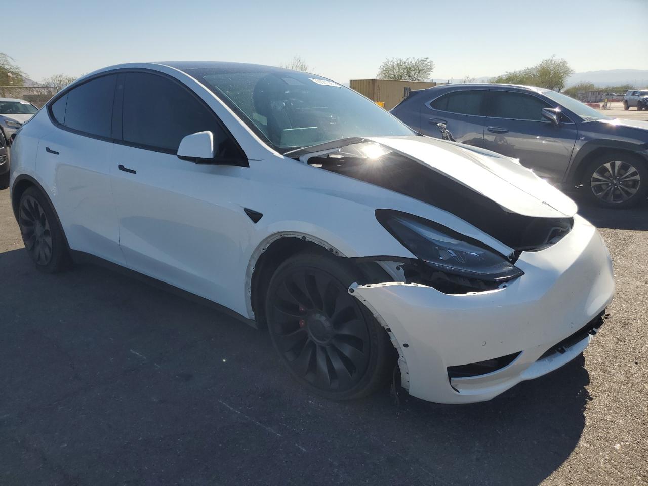 Tesla Model Y Image 5