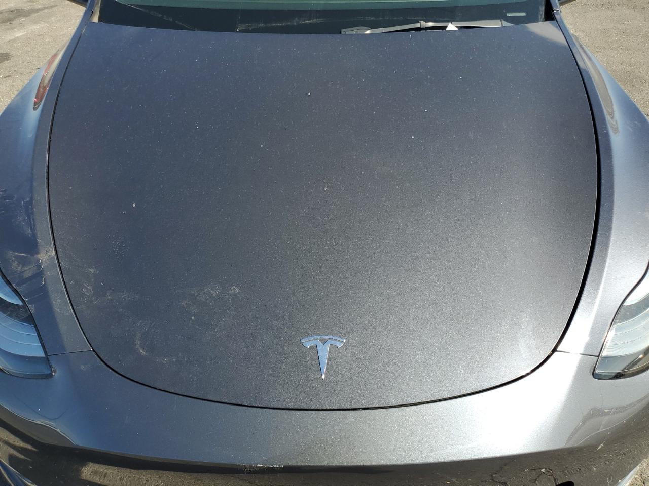 Tesla Model Y Image 7