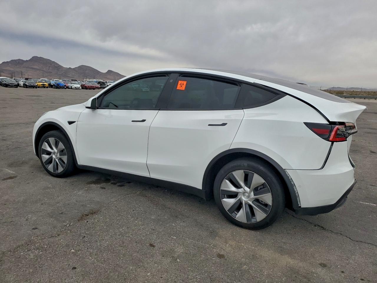 Tesla Model Y Image 2