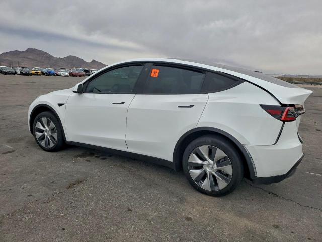 Tesla Model Y Image 2