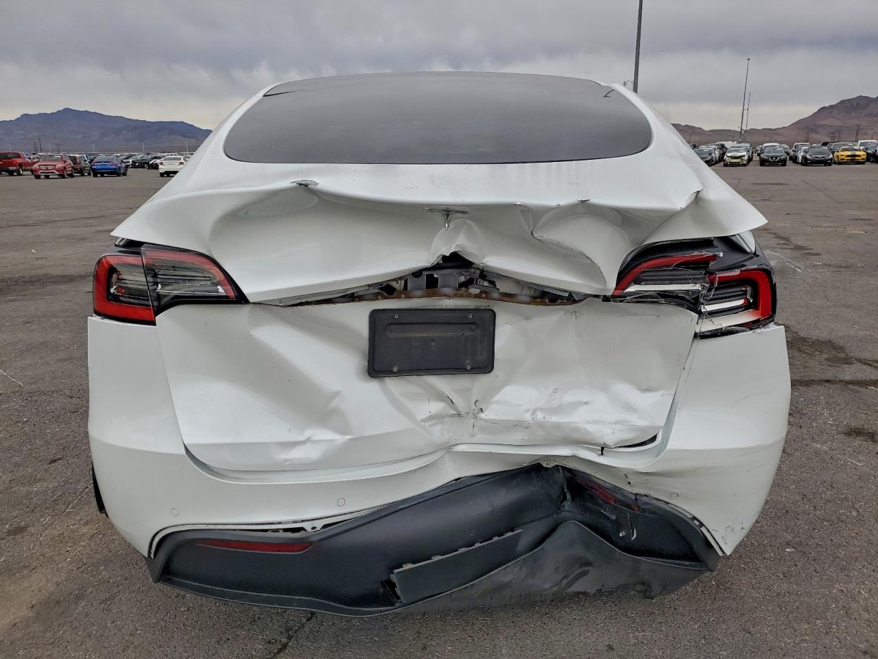 Tesla Model Y Image 11