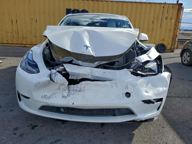 Tesla Model Y Image 2