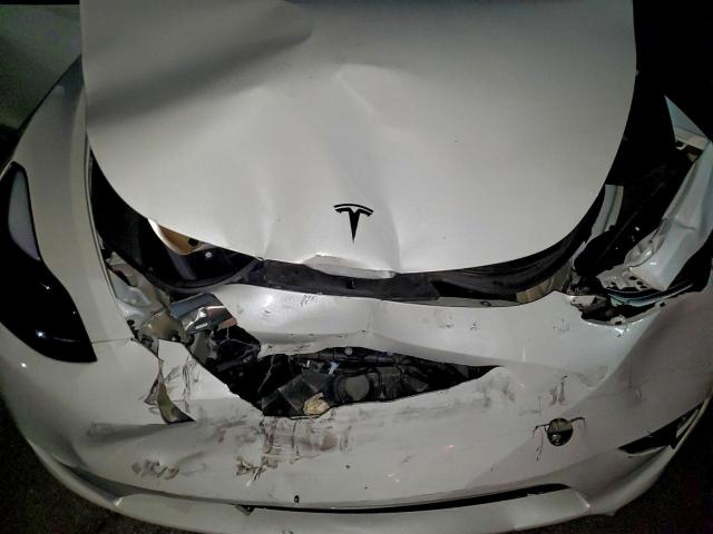 Tesla Model Y Image 7