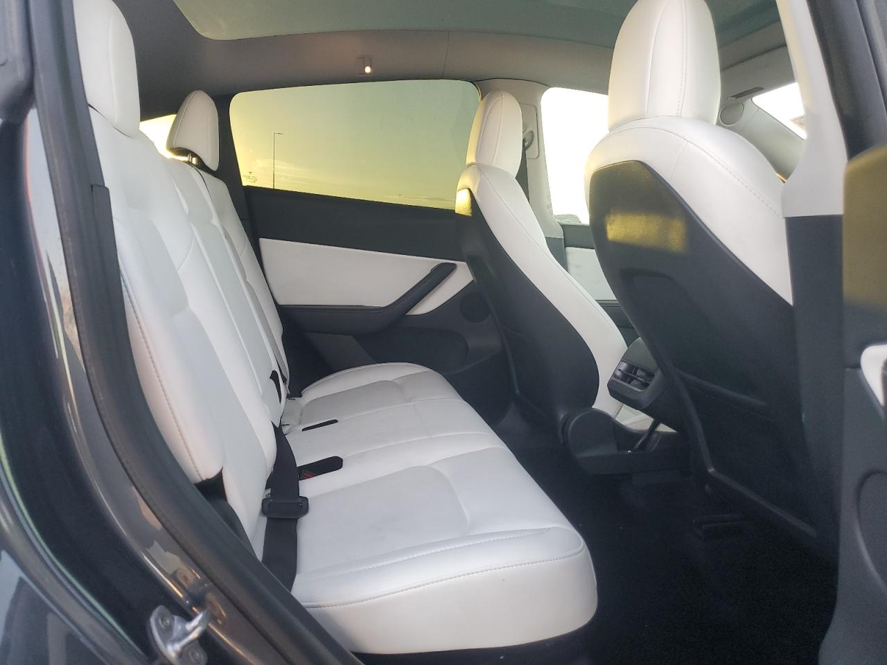 Tesla Model Y Image 11