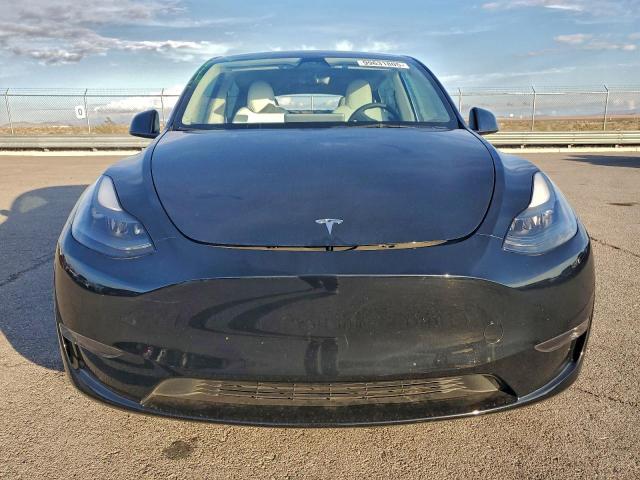 Tesla Model Y Image 2