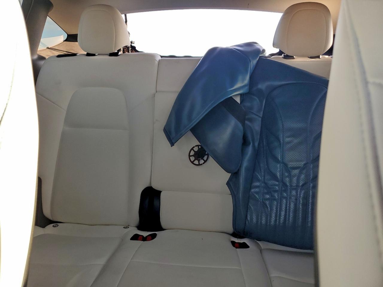 Tesla Model Y Image 7